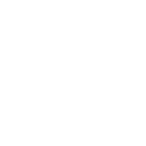 Logo Divi